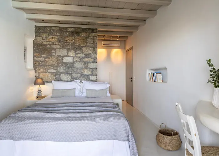 Assa -mykonos Kalo Livadi