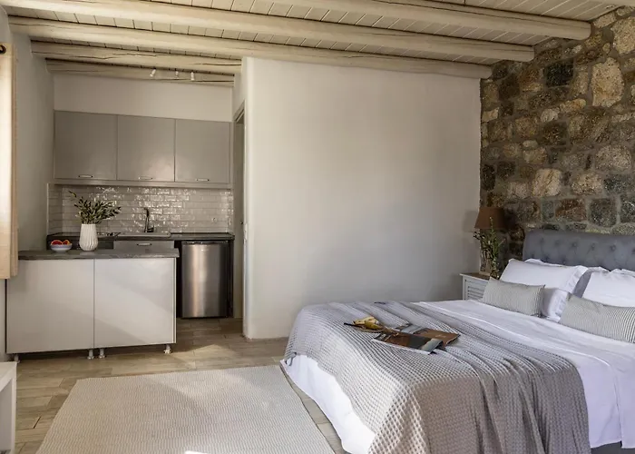 Villa Assa -mykonos Kalo Livadi